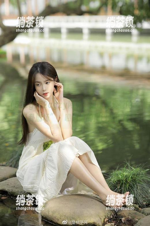 52cg 52cgzy网页:猫咪都爱看的“八卦剧场”,瞧瞧谁的尾巴翘得高