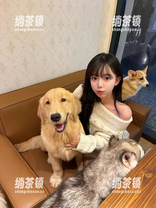 黑料不打烊 记得看视频!黑料不打烊启示:瓜要及时吃,不然都烂掉了!