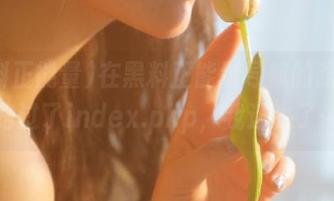 在黑料正能量导航的路口，路过了index.php，我迷失了…