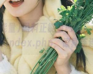 黑料正能量网站，让你一键打开index.php，惊喜连连！